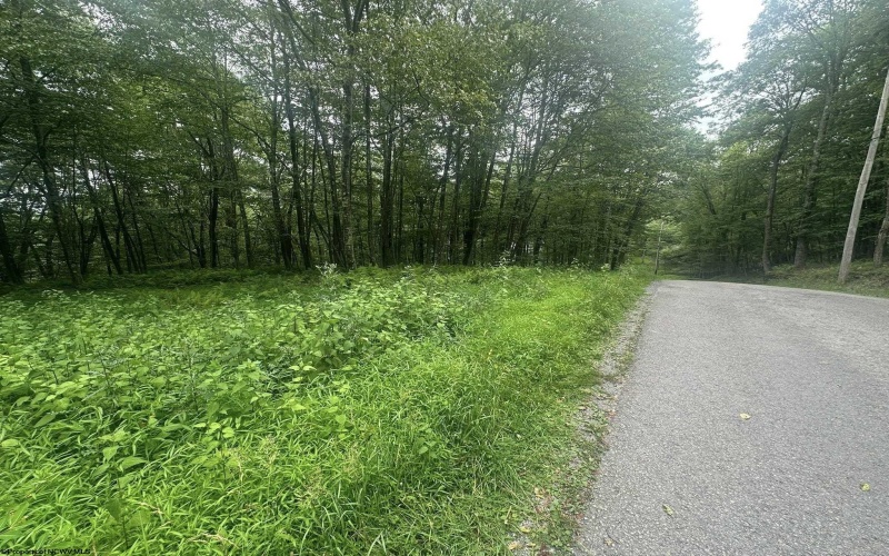 153 Windflower Drive, Terra Alta, West Virginia 26764, ,Lots/land,For Sale,Windflower,10160721