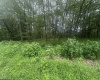 153 Windflower Drive, Terra Alta, West Virginia 26764, ,Lots/land,For Sale,Windflower,10160721