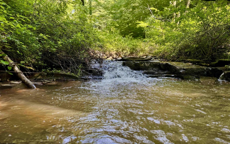 TBD Red Rock Road, Rowlesburg, West Virginia 26425, ,Lots/land,For Sale,Red Rock,10160713