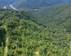 TBD Red Rock Road, Rowlesburg, West Virginia 26425, ,Lots/land,For Sale,Red Rock,10160713