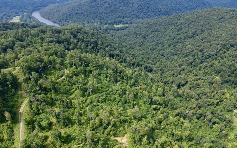 TBD Red Rock Road, Rowlesburg, West Virginia 26425, ,Lots/land,For Sale,Red Rock,10160713