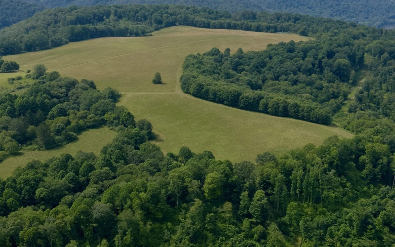 TBD Red Rock Road, Rowlesburg, West Virginia 26425, ,Lots/land,For Sale,Red Rock,10160713