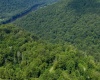 TBD Red Rock Road, Rowlesburg, West Virginia 26425, ,Lots/land,For Sale,Red Rock,10160713