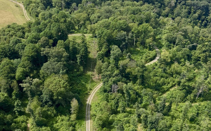 TBD Red Rock Road, Rowlesburg, West Virginia 26425, ,Lots/land,For Sale,Red Rock,10160713