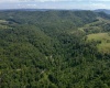 TBD Red Rock Road, Rowlesburg, West Virginia 26425, ,Lots/land,For Sale,Red Rock,10160713