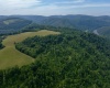 TBD Red Rock Road, Rowlesburg, West Virginia 26425, ,Lots/land,For Sale,Red Rock,10160713