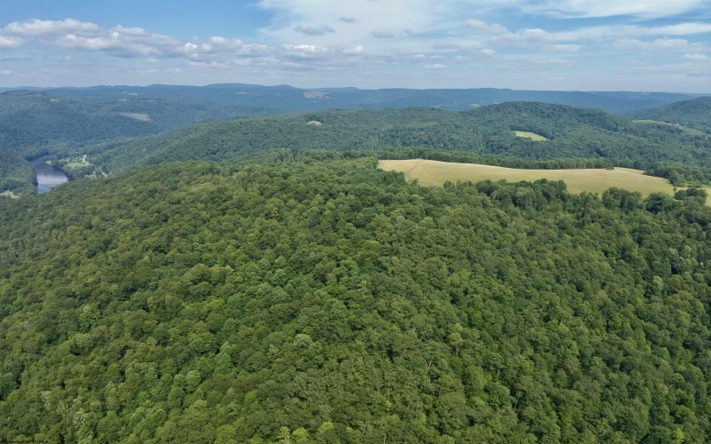 TBD Red Rock Road, Rowlesburg, West Virginia 26425, ,Lots/land,For Sale,Red Rock,10160713