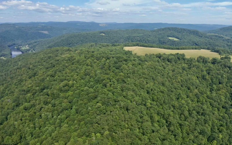 TBD Red Rock Road, Rowlesburg, West Virginia 26425, ,Lots/land,For Sale,Red Rock,10160713