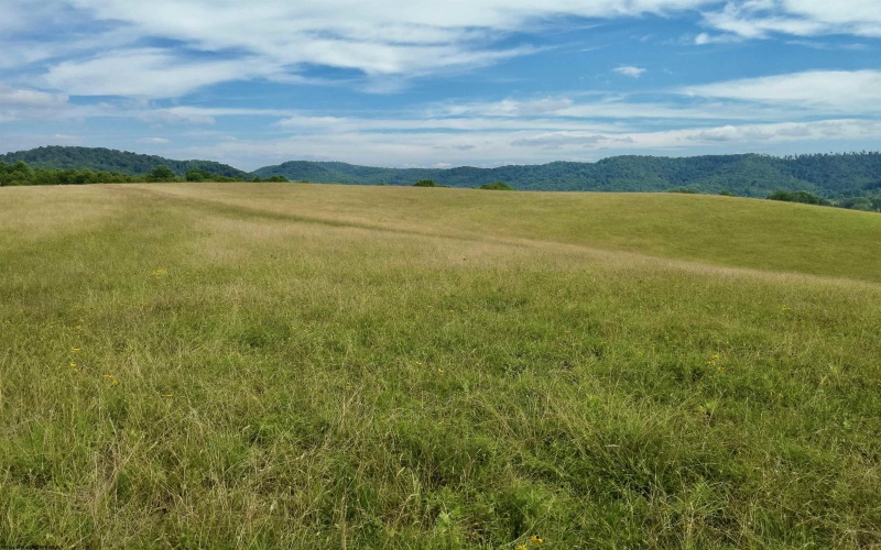 TBD Red Rock Road, Rowlesburg, West Virginia 26425, ,Lots/land,For Sale,Red Rock,10160713