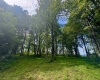TBD Red Rock Road, Rowlesburg, West Virginia 26425, ,Lots/land,For Sale,Red Rock,10160713