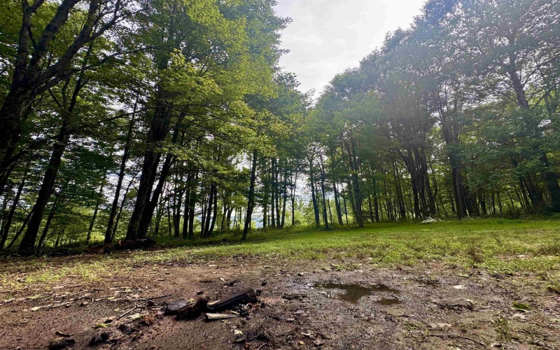TBD Red Rock Road, Rowlesburg, West Virginia 26425, ,Lots/land,For Sale,Red Rock,10160713