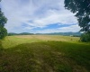 TBD Red Rock Road, Rowlesburg, West Virginia 26425, ,Lots/land,For Sale,Red Rock,10160713