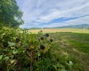 TBD Red Rock Road, Rowlesburg, West Virginia 26425, ,Lots/land,For Sale,Red Rock,10160713