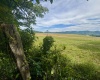 TBD Red Rock Road, Rowlesburg, West Virginia 26425, ,Lots/land,For Sale,Red Rock,10160713