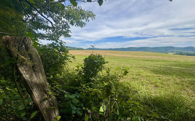 TBD Red Rock Road, Rowlesburg, West Virginia 26425, ,Lots/land,For Sale,Red Rock,10160713