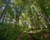 TBD Red Rock Road, Rowlesburg, West Virginia 26425, ,Lots/land,For Sale,Red Rock,10160713