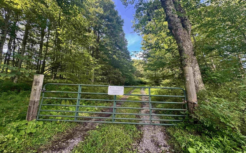 TBD Red Rock Road, Rowlesburg, West Virginia 26425, ,Lots/land,For Sale,Red Rock,10160713
