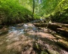 TBD Red Rock Road, Rowlesburg, West Virginia 26425, ,Lots/land,For Sale,Red Rock,10160713