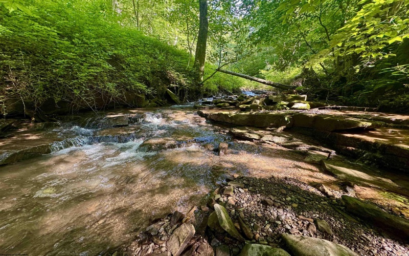 TBD Red Rock Road, Rowlesburg, West Virginia 26425, ,Lots/land,For Sale,Red Rock,10160713