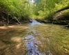 TBD Red Rock Road, Rowlesburg, West Virginia 26425, ,Lots/land,For Sale,Red Rock,10160713