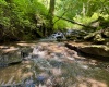 TBD Red Rock Road, Rowlesburg, West Virginia 26425, ,Lots/land,For Sale,Red Rock,10160713