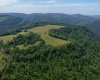 TBD Red Rock Road, Rowlesburg, West Virginia 26425, ,Lots/land,For Sale,Red Rock,10160713