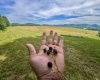 TBD Red Rock Road, Rowlesburg, West Virginia 26425, ,Lots/land,For Sale,Red Rock,10160713