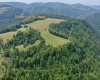 TBD Red Rock Road, Rowlesburg, West Virginia 26425, ,Lots/land,For Sale,Red Rock,10160713