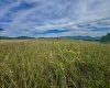 TBD Red Rock Road, Rowlesburg, West Virginia 26425, ,Lots/land,For Sale,Red Rock,10160713