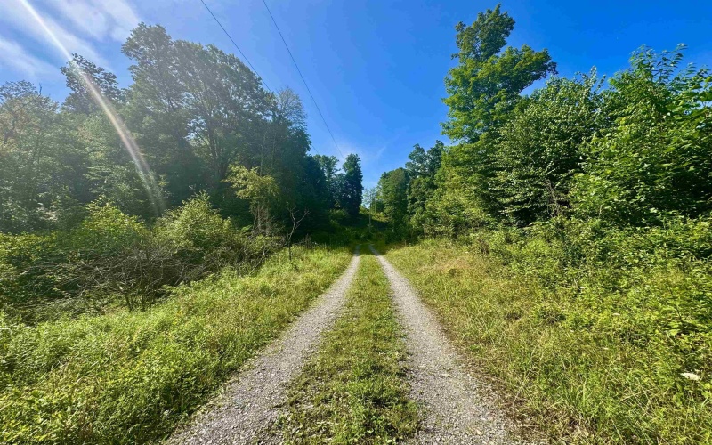 TBD Red Rock Road, Rowlesburg, West Virginia 26425, ,Lots/land,For Sale,Red Rock,10160713