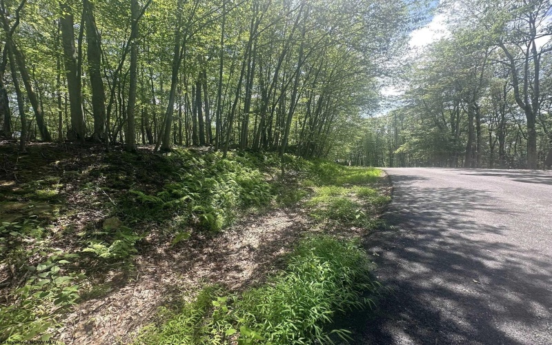 97 Daylily Court, Terra Alta, West Virginia 26764, ,Lots/land,For Sale,Daylily,10160715