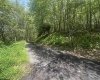 97 Daylily Court, Terra Alta, West Virginia 26764, ,Lots/land,For Sale,Daylily,10160715