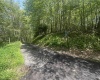 97 Daylily Court, Terra Alta, West Virginia 26764, ,Lots/land,For Sale,Daylily,10160715