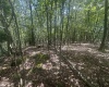 97 Daylily Court, Terra Alta, West Virginia 26764, ,Lots/land,For Sale,Daylily,10160715