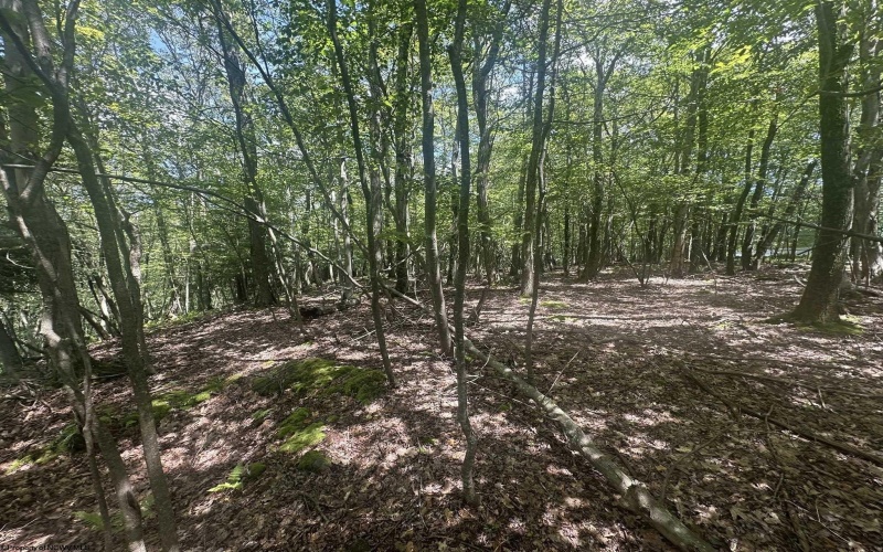 97 Daylily Court, Terra Alta, West Virginia 26764, ,Lots/land,For Sale,Daylily,10160715