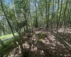 97 Daylily Court, Terra Alta, West Virginia 26764, ,Lots/land,For Sale,Daylily,10160715