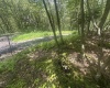 97 Daylily Court, Terra Alta, West Virginia 26764, ,Lots/land,For Sale,Daylily,10160715