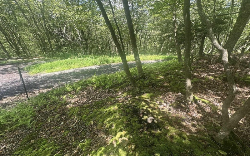 97 Daylily Court, Terra Alta, West Virginia 26764, ,Lots/land,For Sale,Daylily,10160715