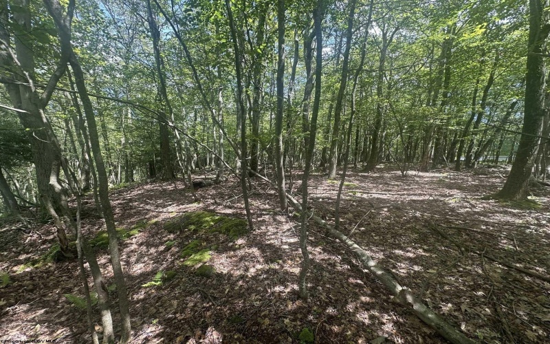 97 Daylily Court, Terra Alta, West Virginia 26764, ,Lots/land,For Sale,Daylily,10160715