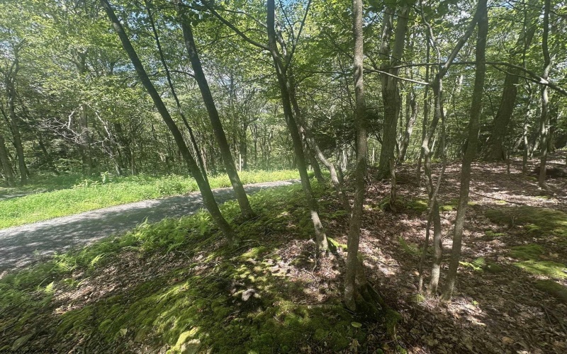 97 Daylily Court, Terra Alta, West Virginia 26764, ,Lots/land,For Sale,Daylily,10160715