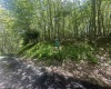 97 Daylily Court, Terra Alta, West Virginia 26764, ,Lots/land,For Sale,Daylily,10160715