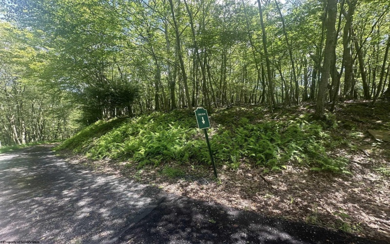 97 Daylily Court, Terra Alta, West Virginia 26764, ,Lots/land,For Sale,Daylily,10160715