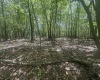97 Daylily Court, Terra Alta, West Virginia 26764, ,Lots/land,For Sale,Daylily,10160715