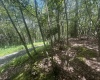 97 Daylily Court, Terra Alta, West Virginia 26764, ,Lots/land,For Sale,Daylily,10160715
