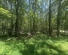 134 Windflower Drive, Terra Alta, West Virginia 26766, ,Lots/land,For Sale,Windflower,10160718