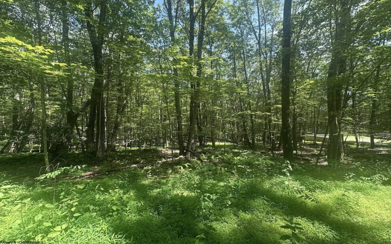 134 Windflower Drive, Terra Alta, West Virginia 26766, ,Lots/land,For Sale,Windflower,10160718