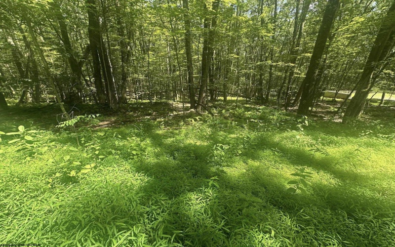 134 Windflower Drive, Terra Alta, West Virginia 26766, ,Lots/land,For Sale,Windflower,10160718