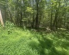 134 Windflower Drive, Terra Alta, West Virginia 26766, ,Lots/land,For Sale,Windflower,10160718