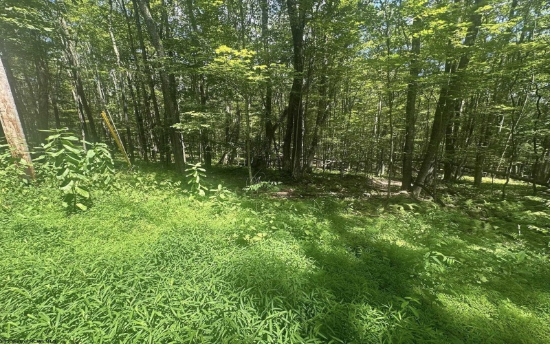 134 Windflower Drive, Terra Alta, West Virginia 26766, ,Lots/land,For Sale,Windflower,10160718