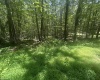 134 Windflower Drive, Terra Alta, West Virginia 26766, ,Lots/land,For Sale,Windflower,10160718